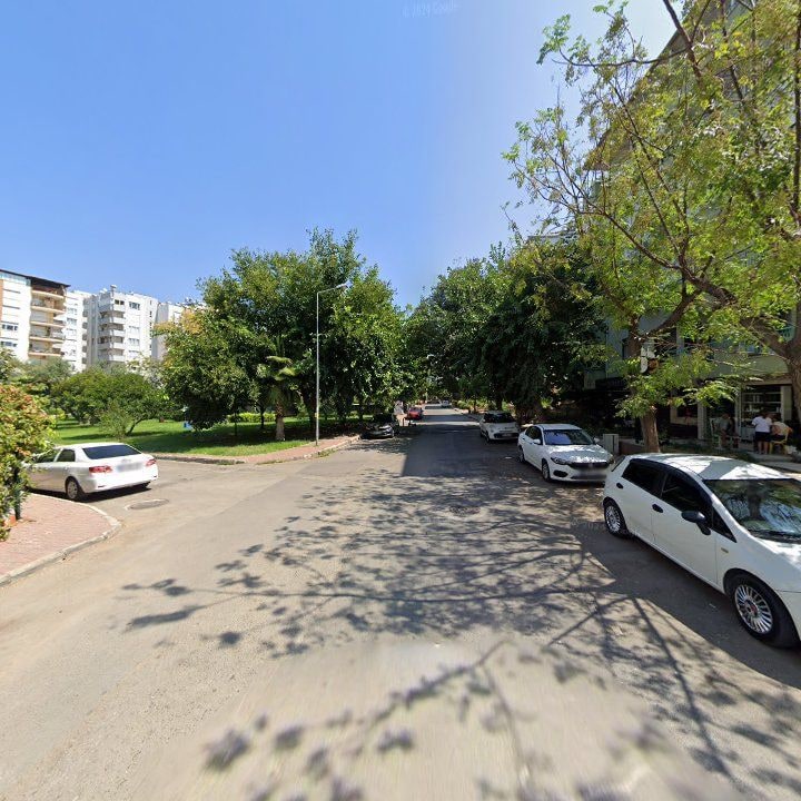 Fotoğraf 7