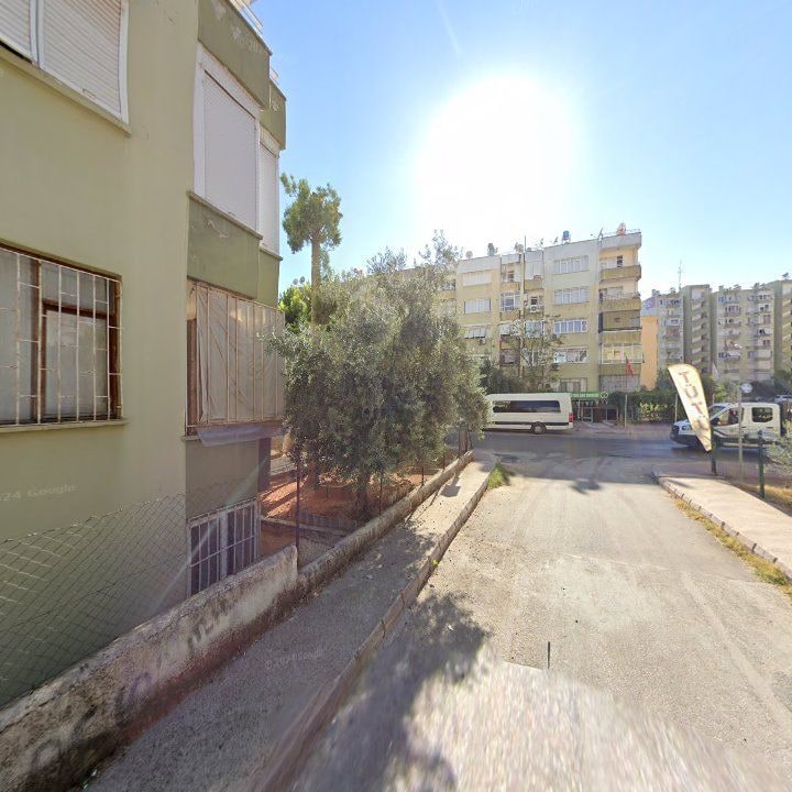 Fotoğraf 11