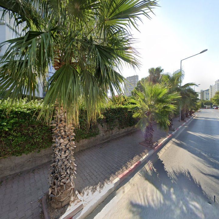 Fotoğraf 9
