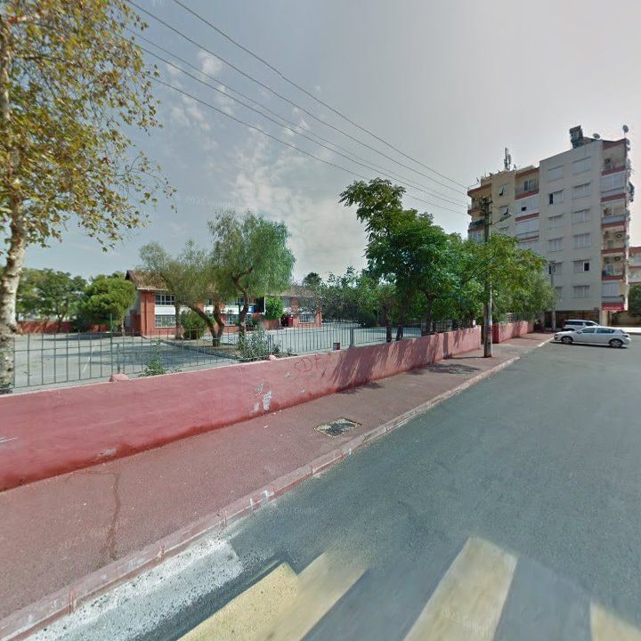 Fotoğraf 11