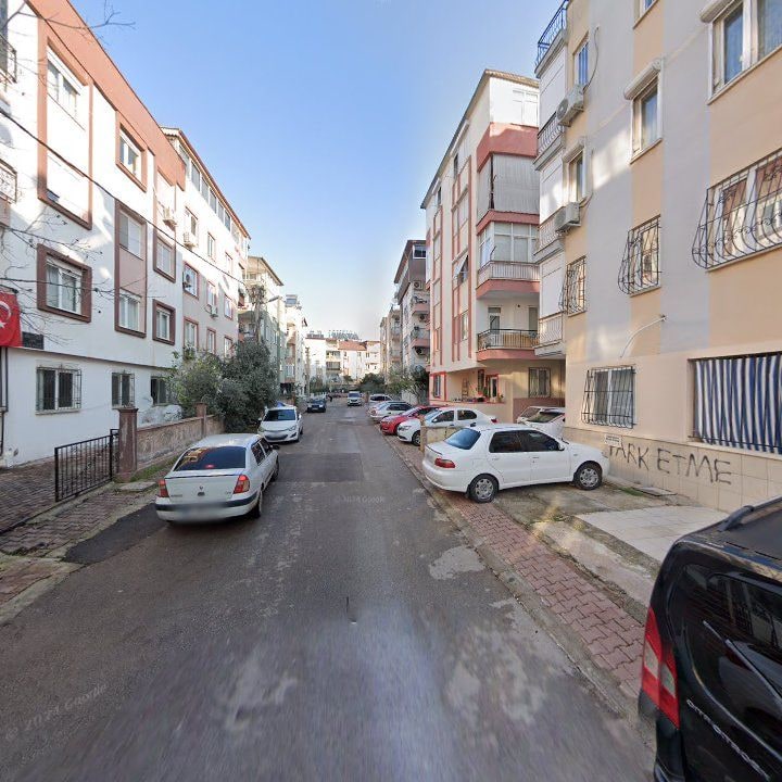 Fotoğraf 9