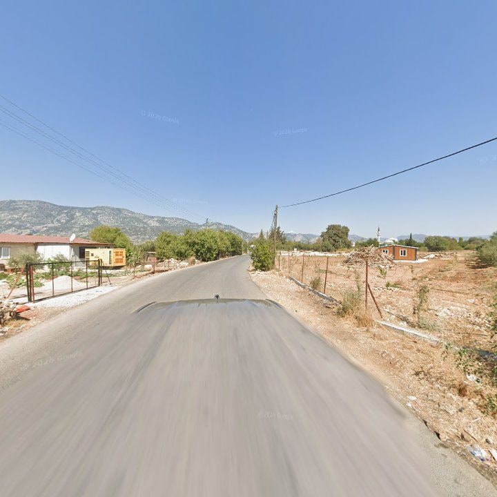 Fotoğraf 7