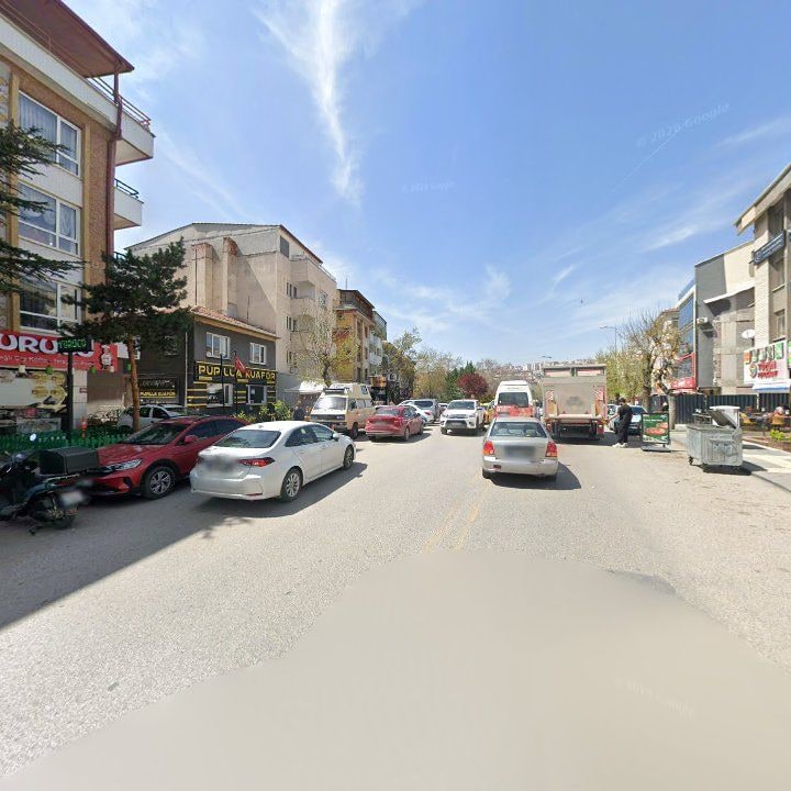 Fotoğraf 10