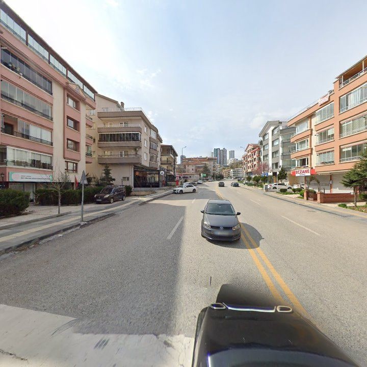 Fotoğraf 11