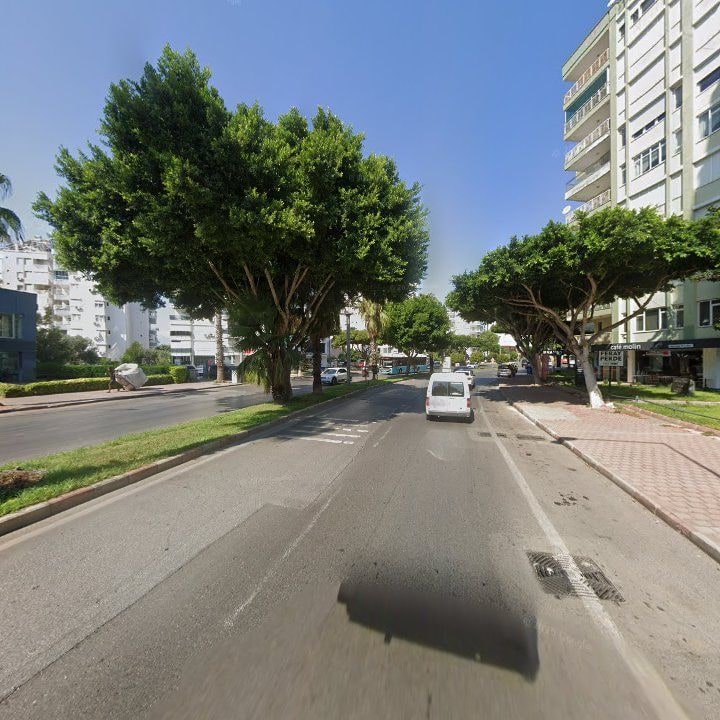 Fotoğraf 12