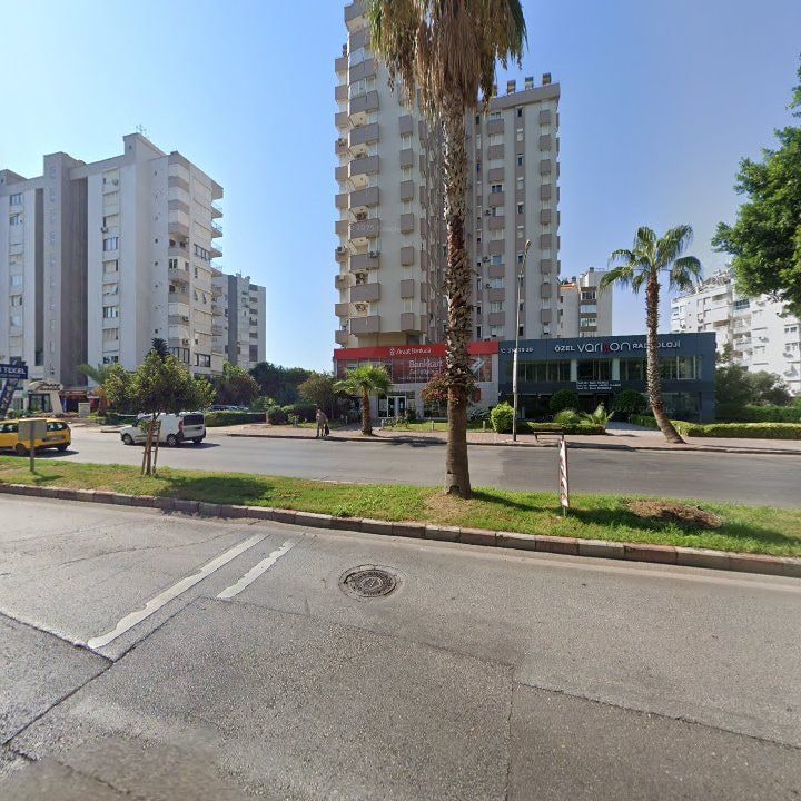 Fotoğraf 11