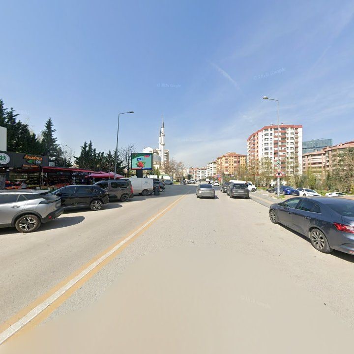 Fotoğraf 8