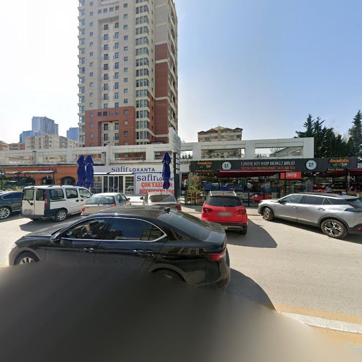 Fotoğraf 7
