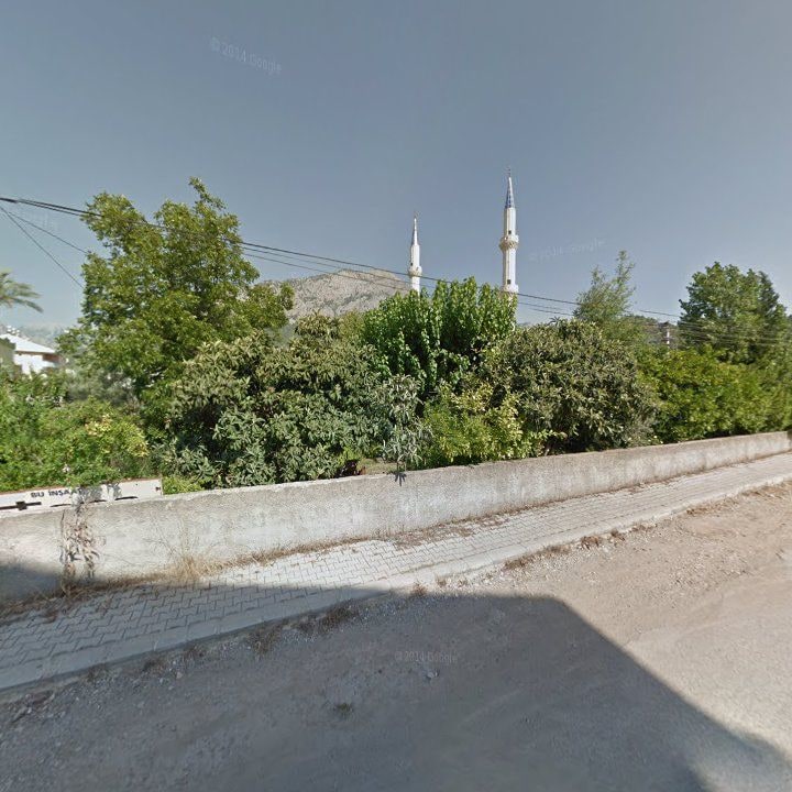 Fotoğraf 10