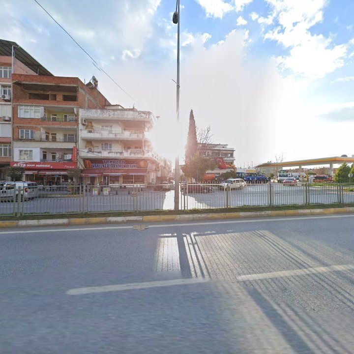 Fotoğraf 7
