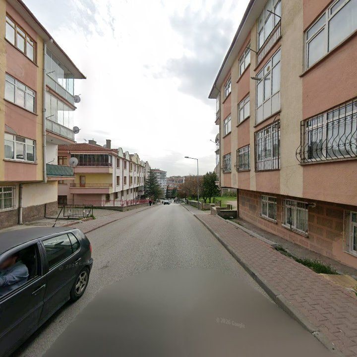 Fotoğraf 10