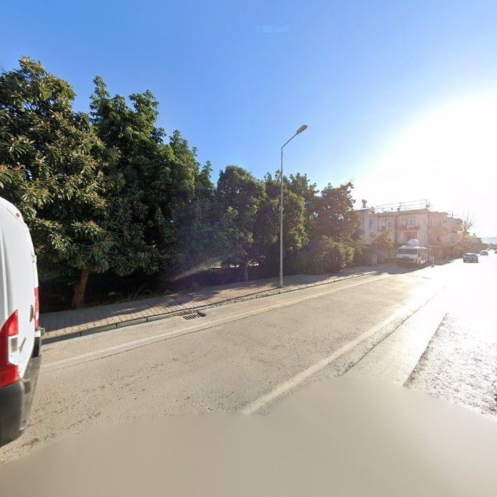 Fotoğraf 9