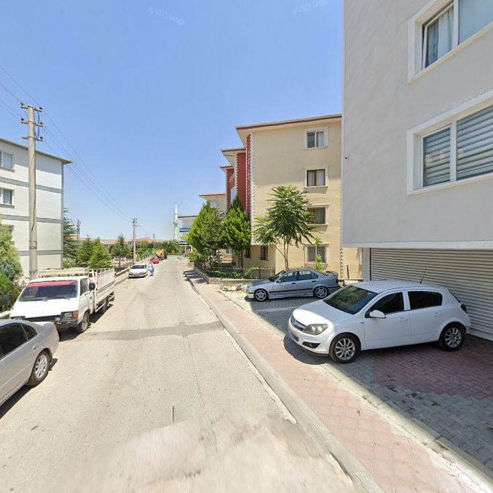 Fotoğraf 13