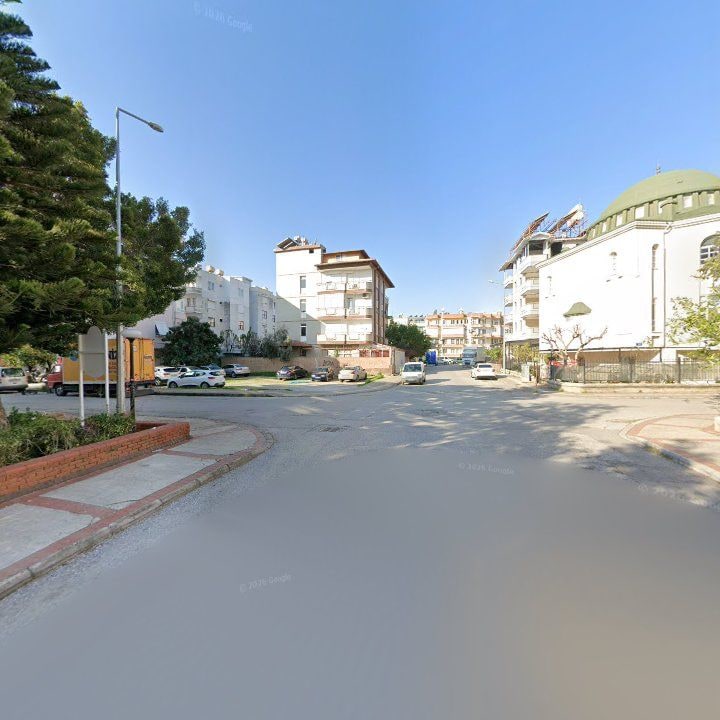 Fotoğraf 8
