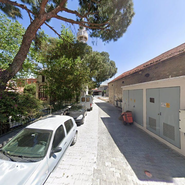 Fotoğraf 7