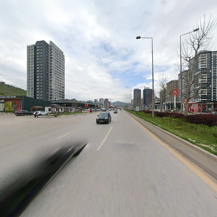 Fotoğraf 11