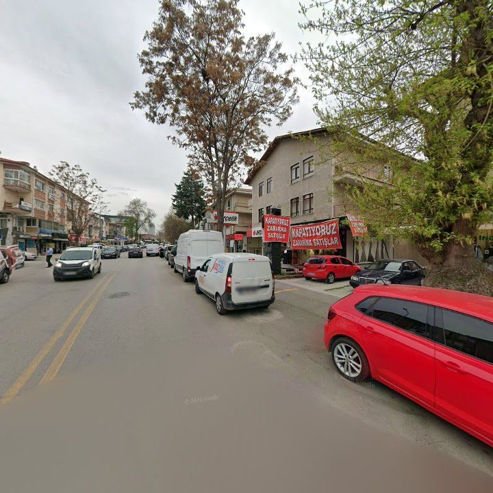 Fotoğraf 9