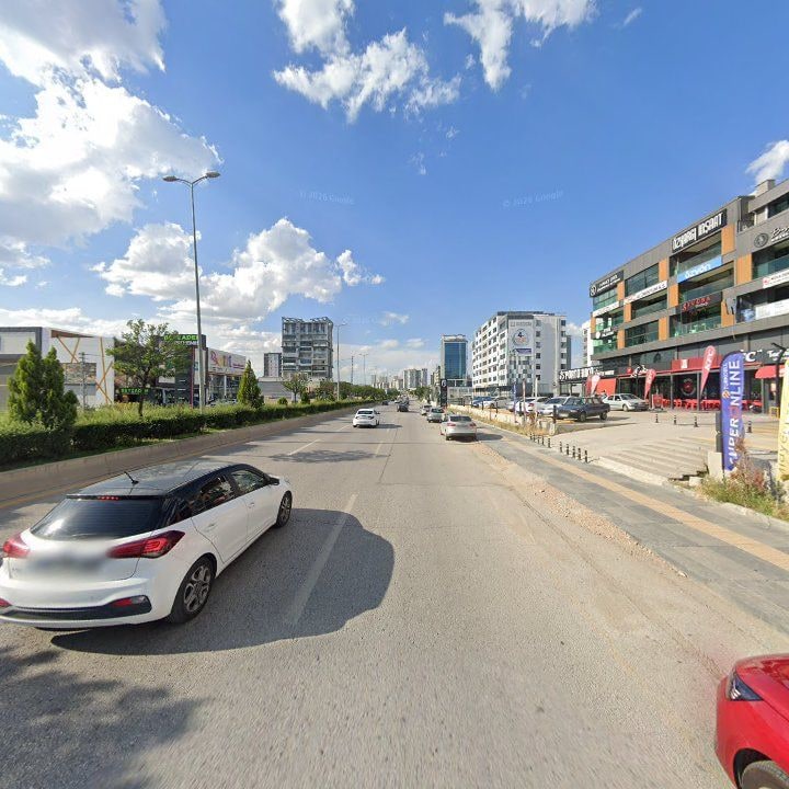 Fotoğraf 9