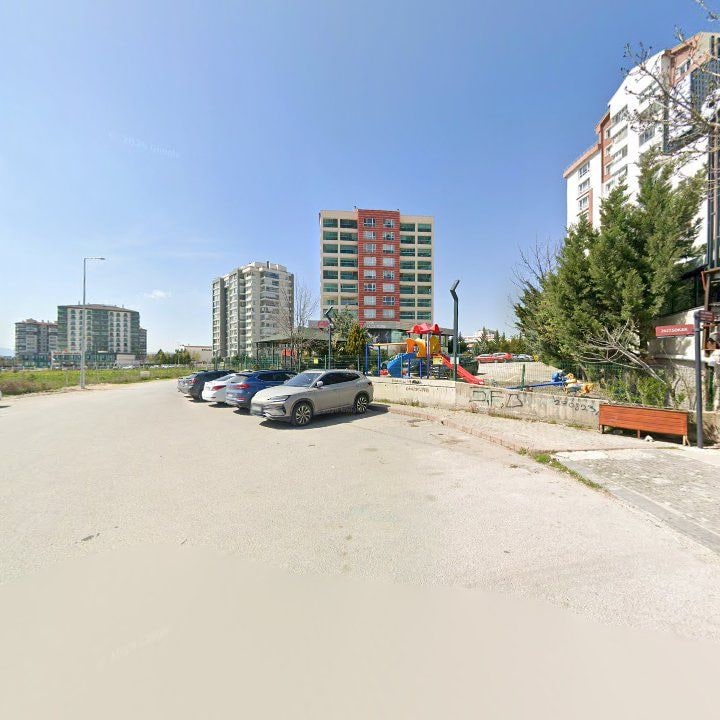 Fotoğraf 16