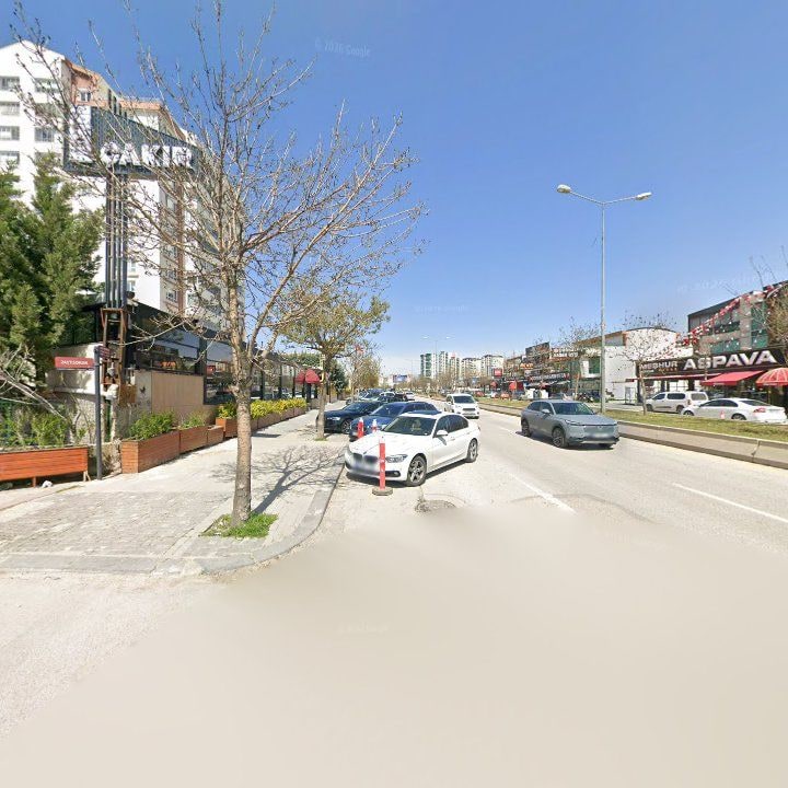Fotoğraf 17