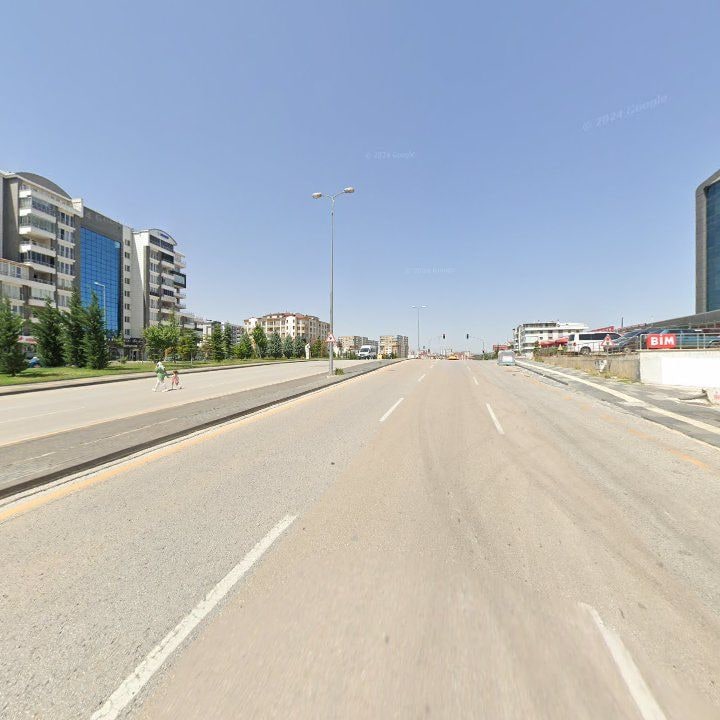 Fotoğraf 14