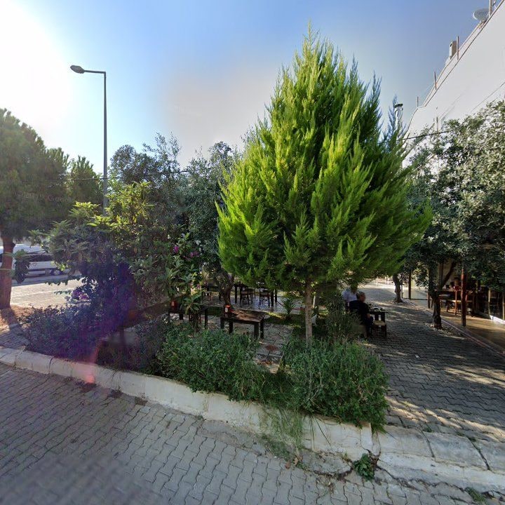 Fotoğraf 6