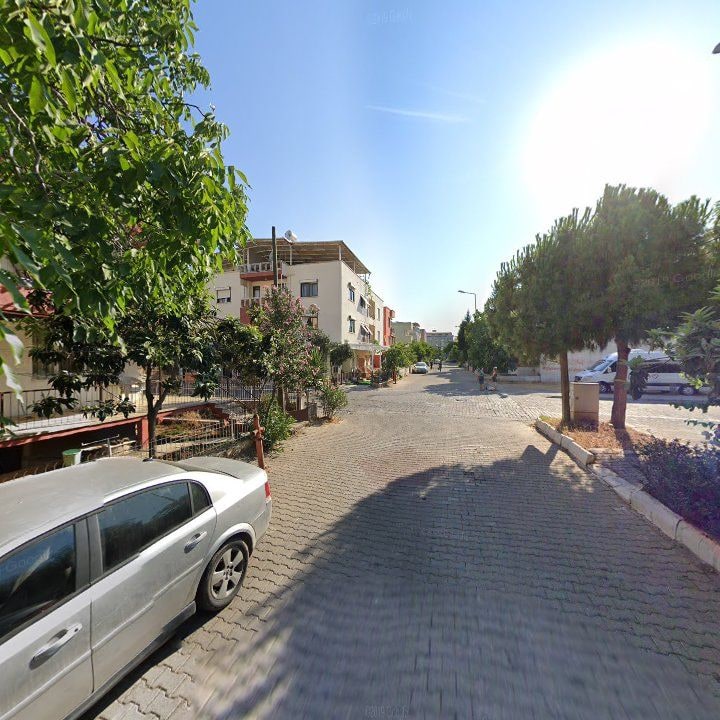 Fotoğraf 9