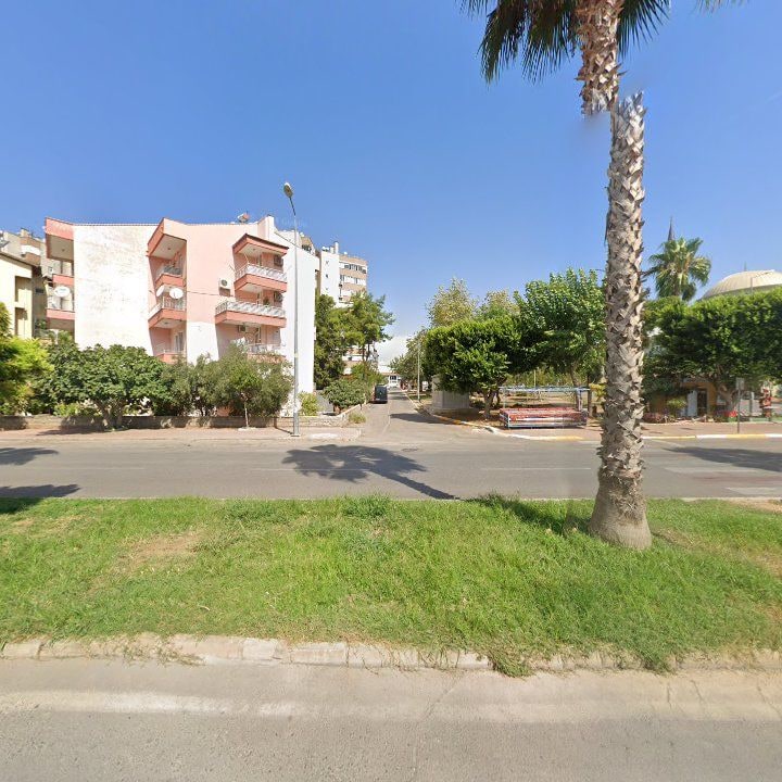 Fotoğraf 8