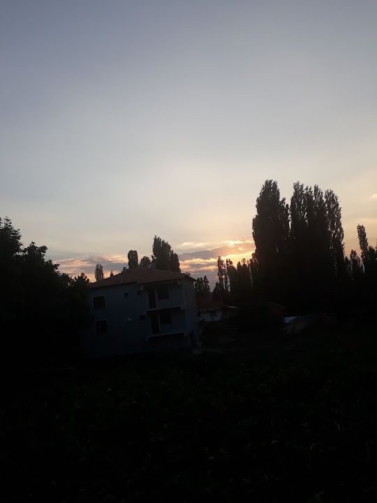 Apilin kahvesi