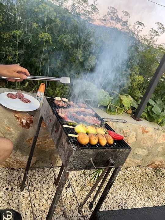 Apo’nun Yeri Mangal Evi