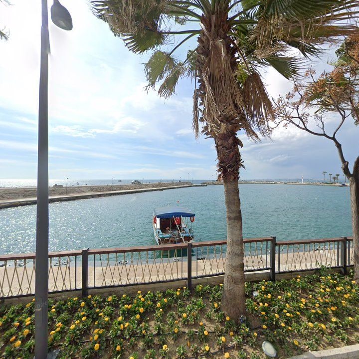 Fotoğraf 15