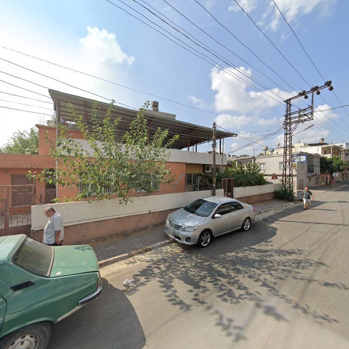 Fotoğraf 12