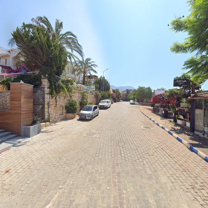Fotoğraf 11