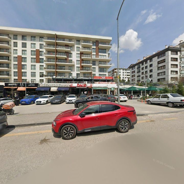 Fotoğraf 8