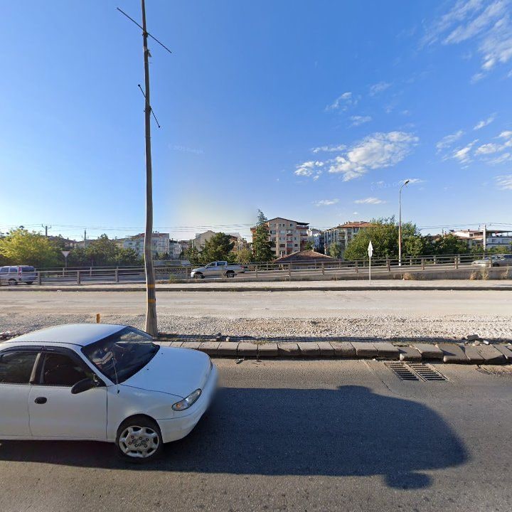 Fotoğraf 8