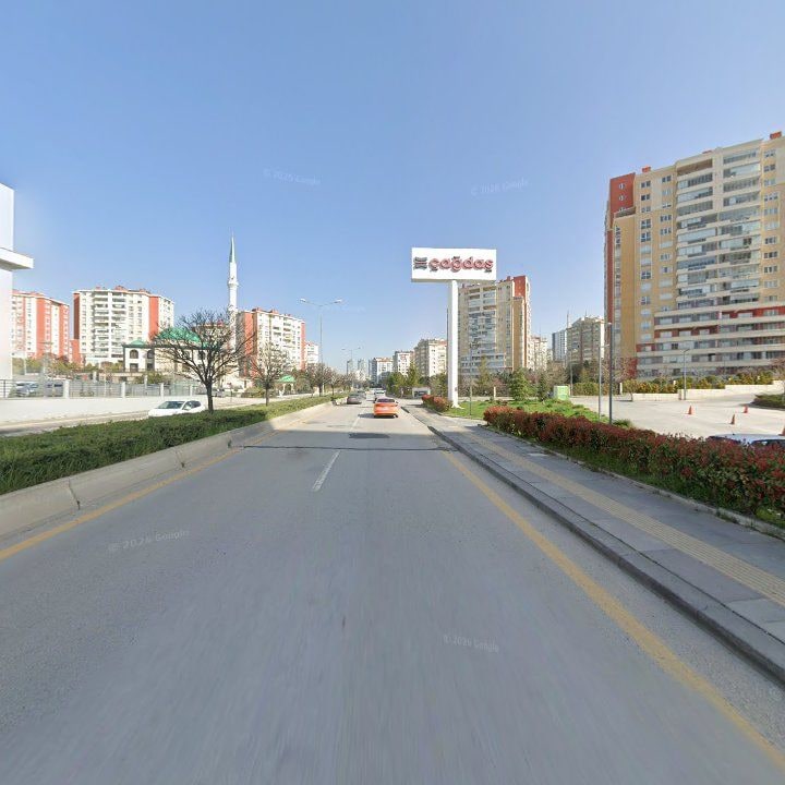 Fotoğraf 7