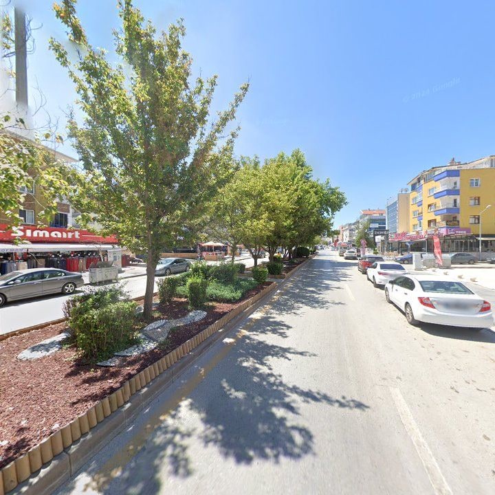 Fotoğraf 10