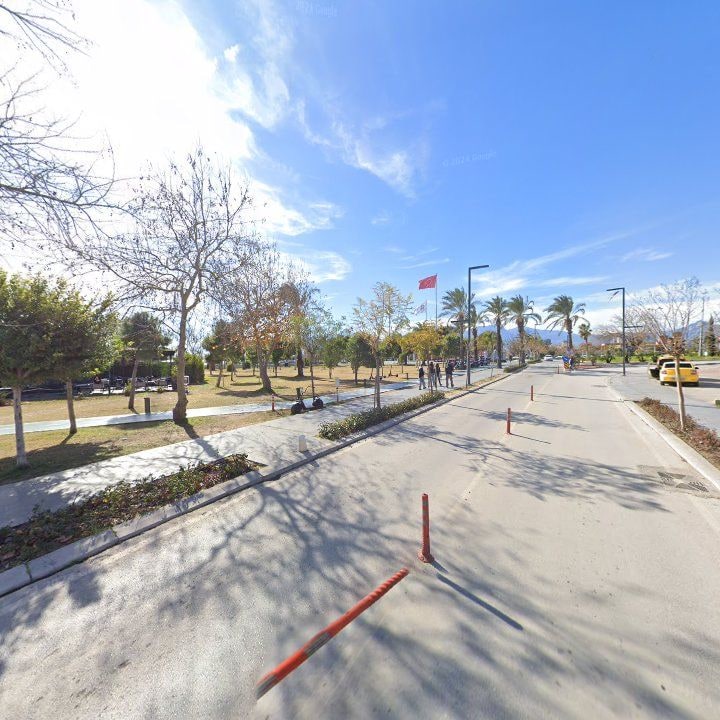 Fotoğraf 12