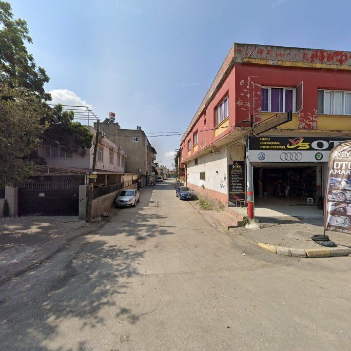 Fotoğraf 13