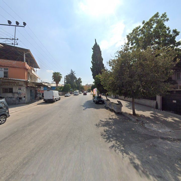 Fotoğraf 12