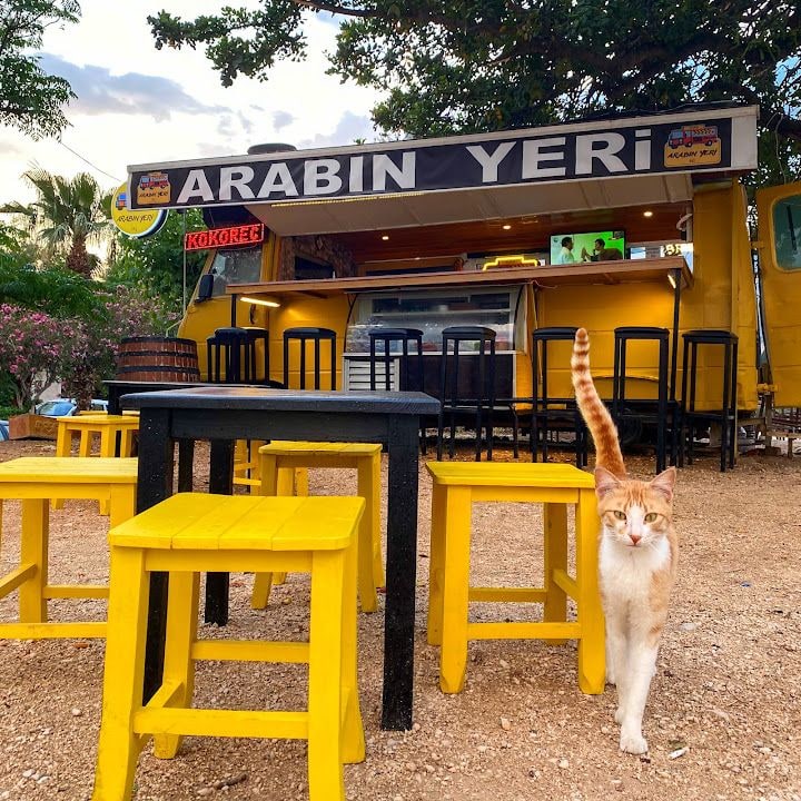 Arabın Yeri Kaş