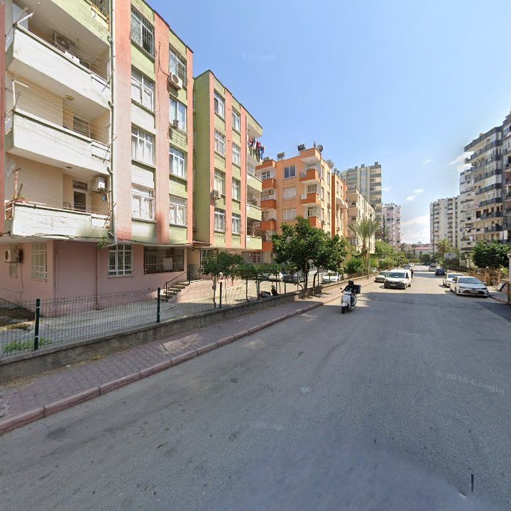 Fotoğraf 11