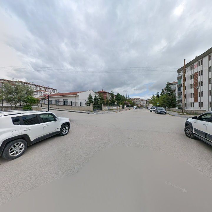 Fotoğraf 9