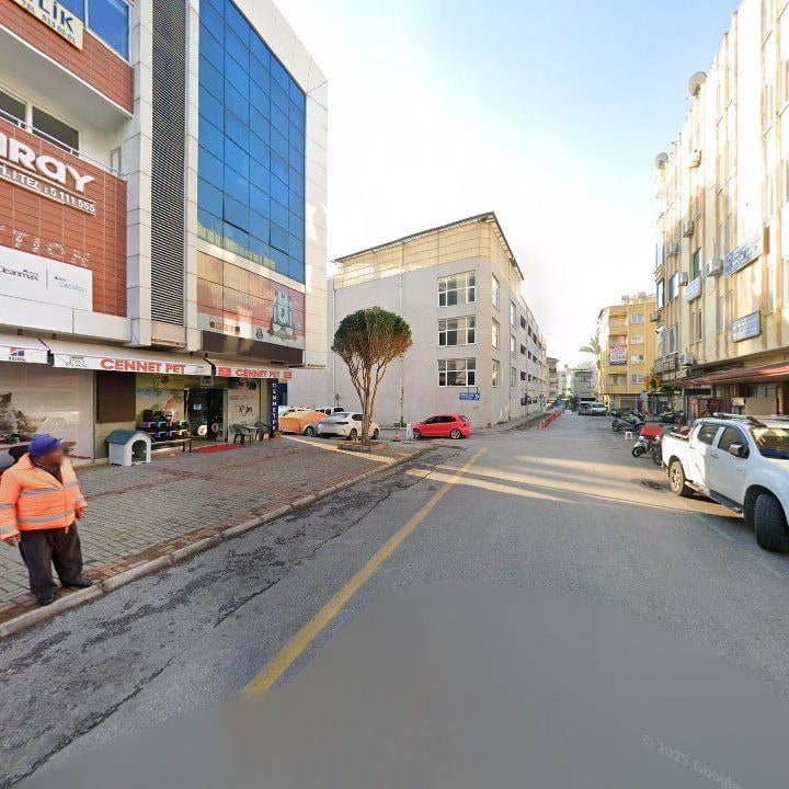 Fotoğraf 12