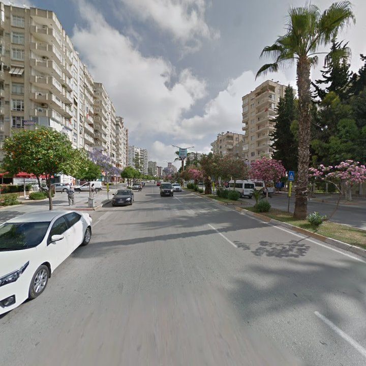 Fotoğraf 8