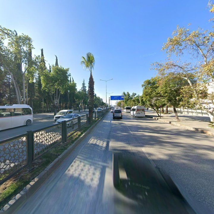 Fotoğraf 8