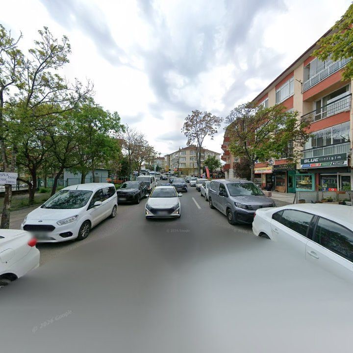 Fotoğraf 9