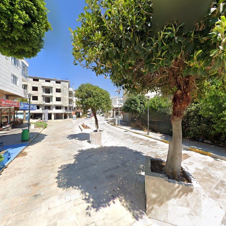 Fotoğraf 6