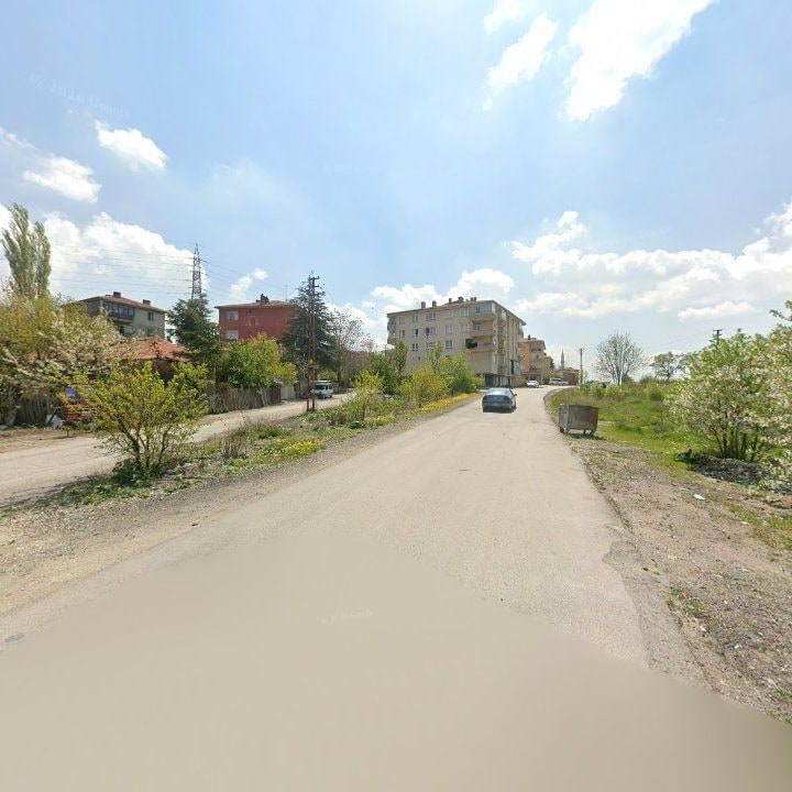 Fotoğraf 8