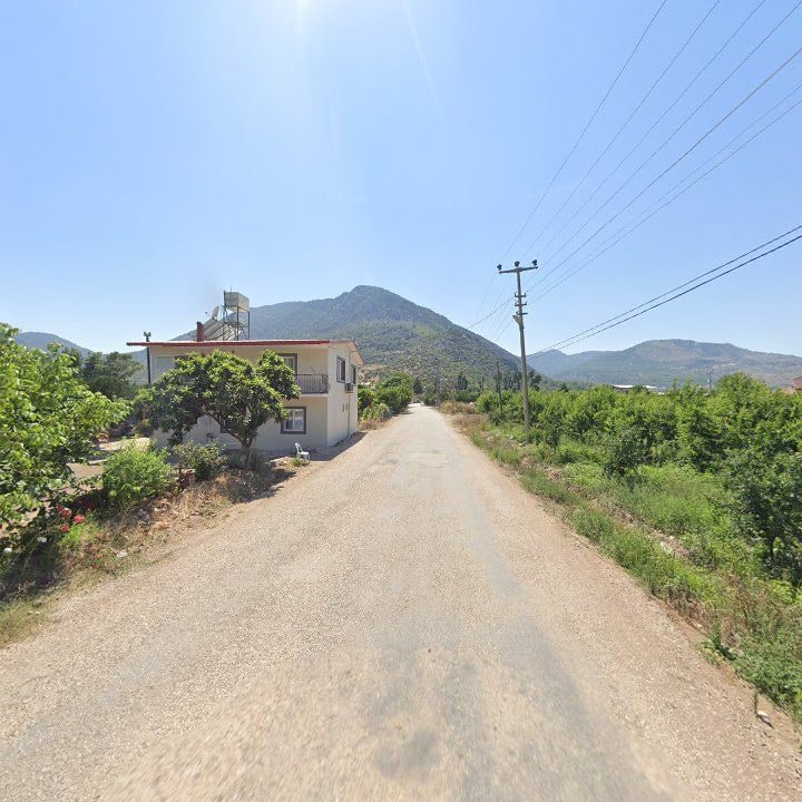 Fotoğraf 5